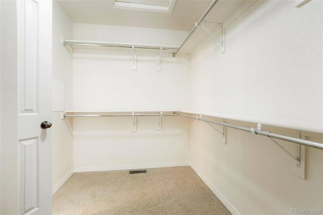 spacious closet with carpet floors