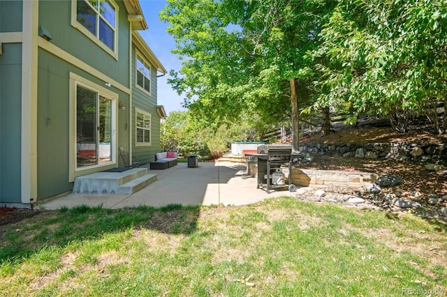 view of yard with a patio