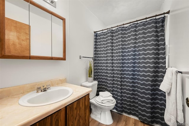 29 Deerfield Ln, Florissant, CO 80816 - full bathroom featuring toilet, vanity, wood finished floors, and a shower with curtain