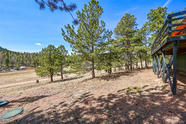 29 Deerfield Ln, Florissant, CO 80816 - view of yard