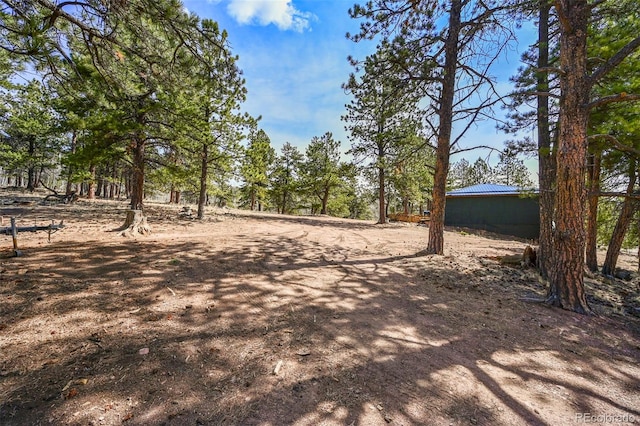 29 Deerfield Ln, Florissant, CO 80816 - view of dirt / gravel driveway
