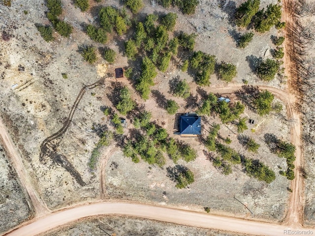 29 Deerfield Ln, Florissant, CO 80816 - view of rural area with a desert landscape