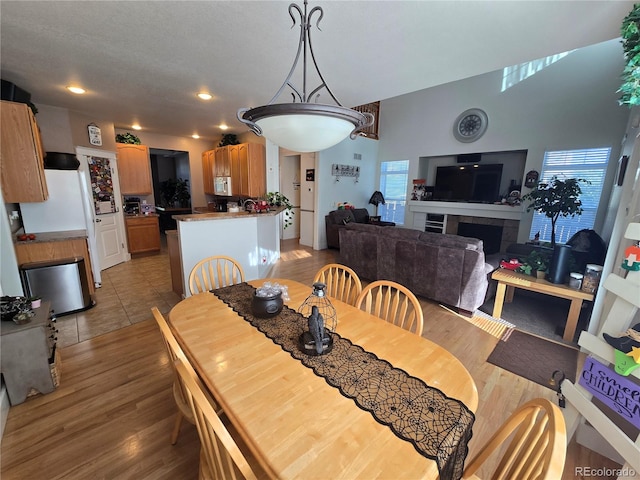 dining room featuring light hardwood / wood-style floors and a fireplace