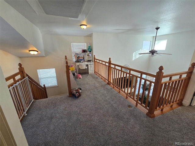 hallway featuring carpet flooring