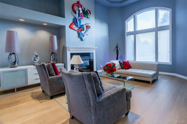 living room featuring wood-type flooring