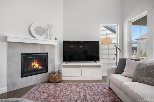 living room with baseboards, wood finished floors, and a fireplace