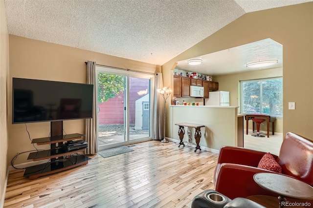 17948 E Colgate Pl, Aurora, CO 80013 - living room with a textured ceiling, lofted ceiling, and light wood finished floors