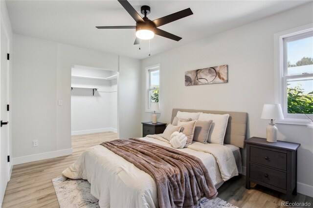7970 Chase Cir Unit 85, Arvada, CO 80003 - bedroom featuring multiple windows, light wood-type flooring, and ceiling fan