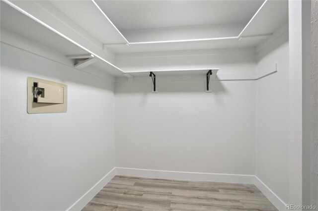 7970 Chase Cir Unit 85, Arvada, CO 80003 - walk in closet with light wood-style floors