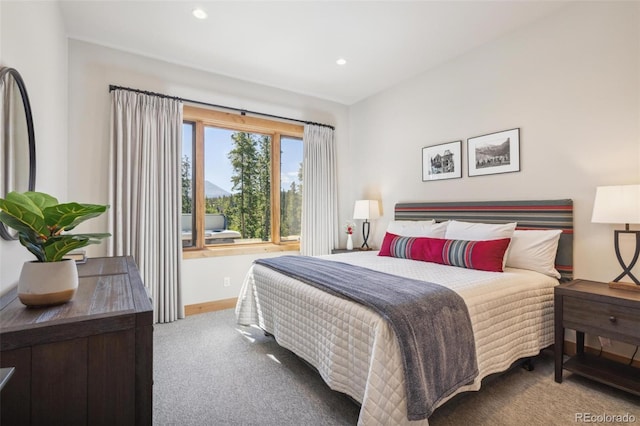 41 Barton Ridge Dr, Breckenridge, CO 80424 - carpeted bedroom with baseboards and recessed lighting