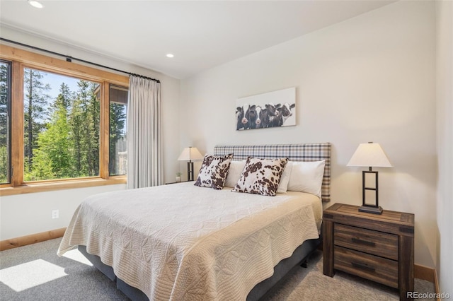 41 Barton Ridge Dr, Breckenridge, CO 80424 - carpeted bedroom with baseboards and recessed lighting