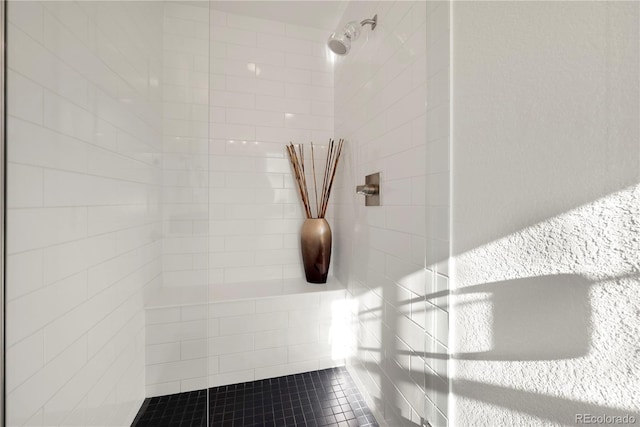 interior details with tiled shower