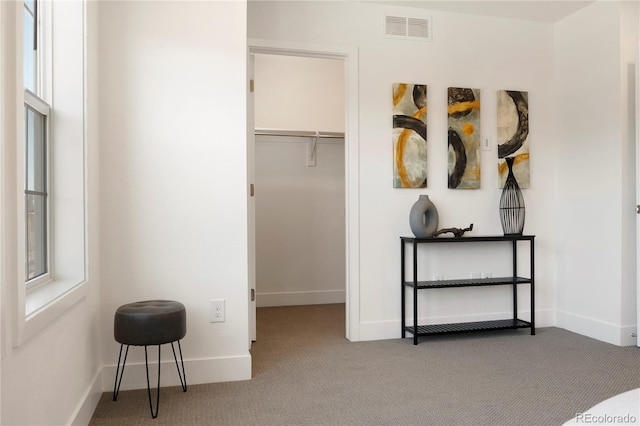 carpeted bedroom with a closet