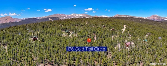 176 Gold Trail Cir, Fairplay, CO 80440