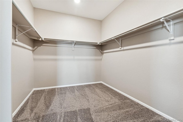15525 Quince Cir, Thornton, CO 80602 - spacious closet with carpet flooring