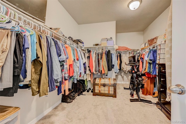 10499 Rolling Peaks Dr, Peyton, CO 80831 - spacious closet featuring carpet flooring