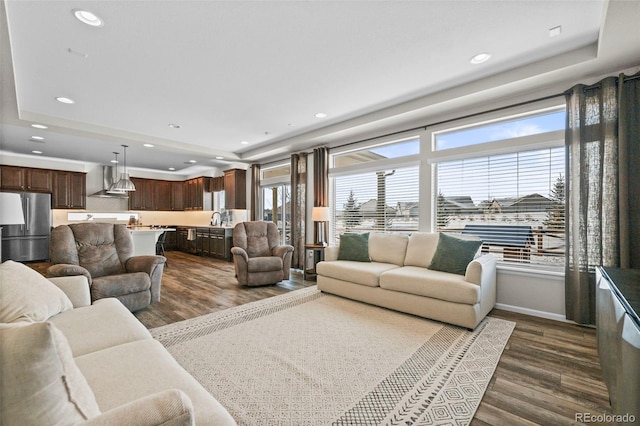 living room with dark hardwood / wood-style floors, sink, and a tray ceiling