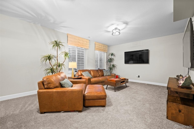 living room featuring carpet