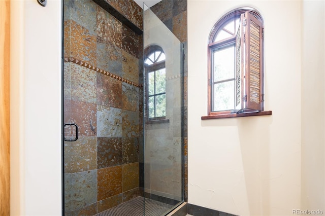 2435 S Milwaukee St, Denver, CO 80210 - bathroom with a stall shower and plenty of natural light