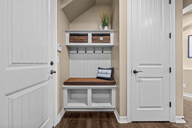 mudroom featuring dark hardwood / wood-style flooring