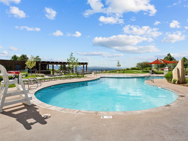 view of swimming pool with a patio