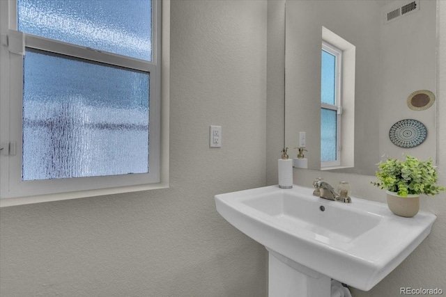 5558 Malta St, Denver, CO 80249 - bathroom with a textured wall and a sink