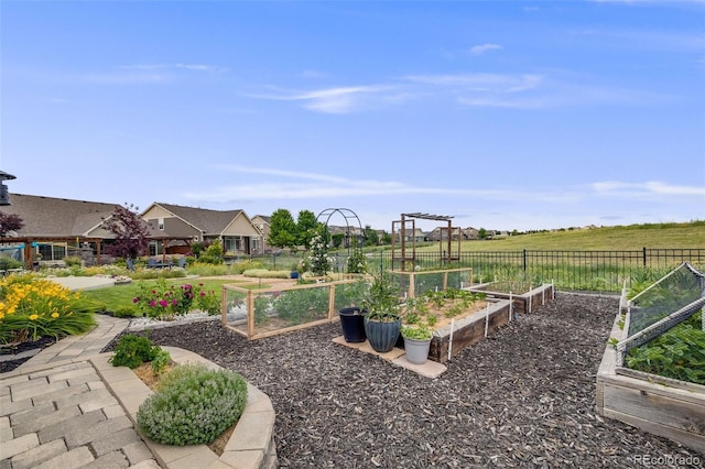 5280 Genoa St, Denver, CO 80249 - view of yard featuring a vegetable garden