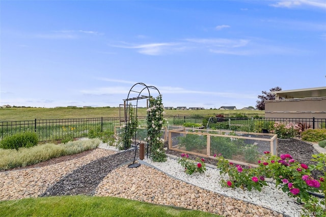 5280 Genoa St, Denver, CO 80249 - view of yard featuring a vegetable garden and a view of rural / pastoral area