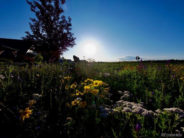 5280 Genoa St, Denver, CO 80249 - view of yard