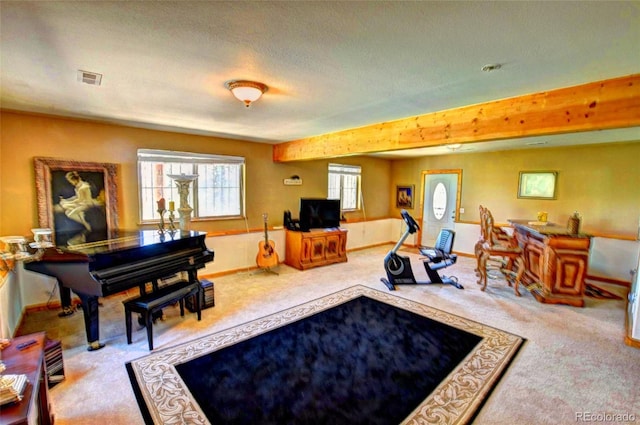 36 Gitche Goone Ln, Como, CO 80432 - living area featuring carpet flooring and a textured ceiling