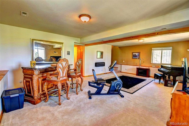 36 Gitche Goone Ln, Como, CO 80432 - workout area featuring carpet flooring