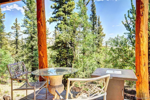36 Gitche Goone Ln, Como, CO 80432 - view of patio / terrace