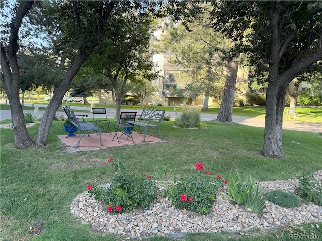 view of community with a yard
