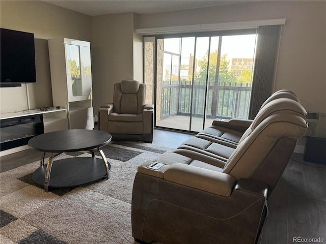 living room featuring wood finished floors