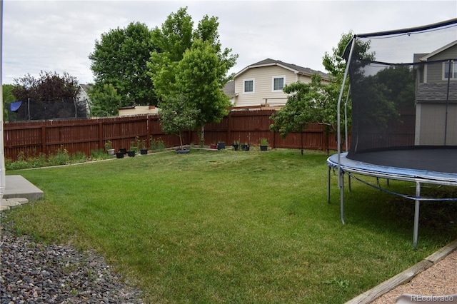 10534 Ursula St, Commerce City, CO 80022 - photo 18