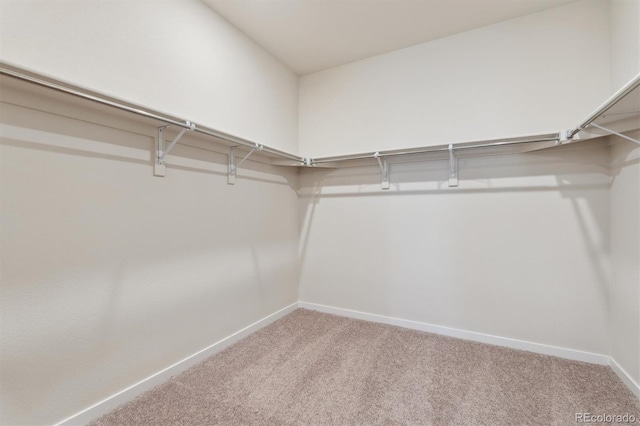1290 Loraine Cir N, Lafayette, CO 80026 - walk in closet featuring carpet