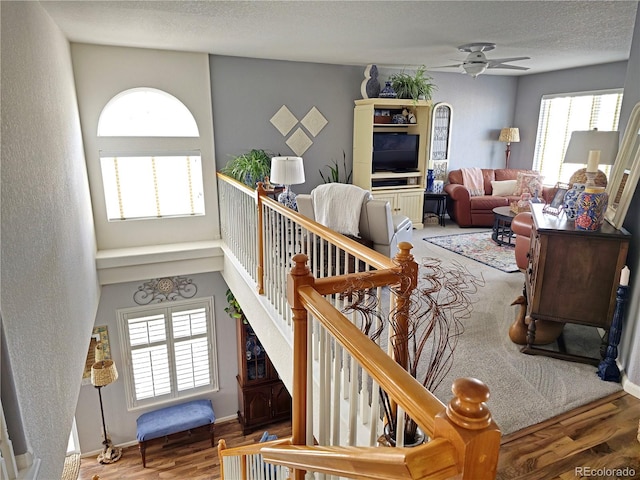 living room with ceiling fan and hardwood / wood-style floors