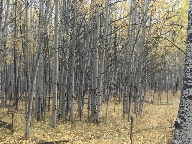 001 Bonus Gulch Way, Jefferson, CO 80456