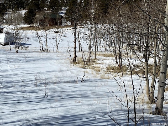 001 Bonus Gulch Way, Jefferson, CO 80456