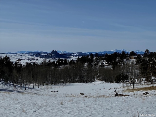 001 Bonus Gulch Way, Jefferson, CO 80456