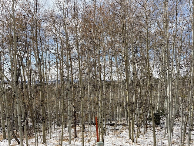 001 Bonus Gulch Way, Jefferson, CO 80456