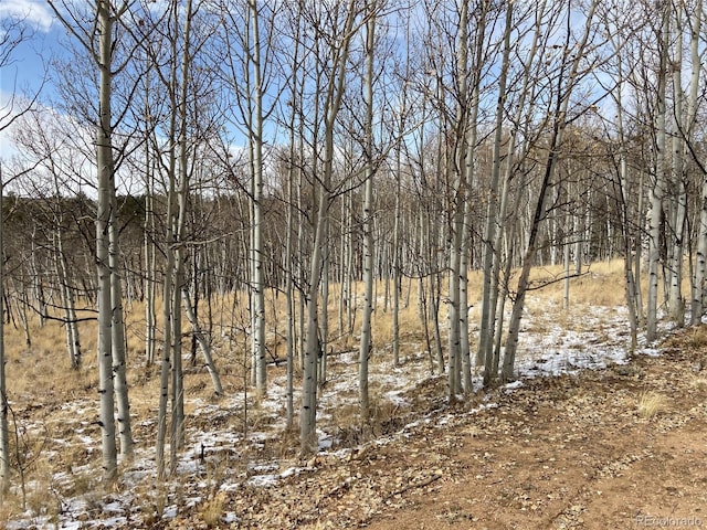001 Bonus Gulch Way, Jefferson, CO 80456