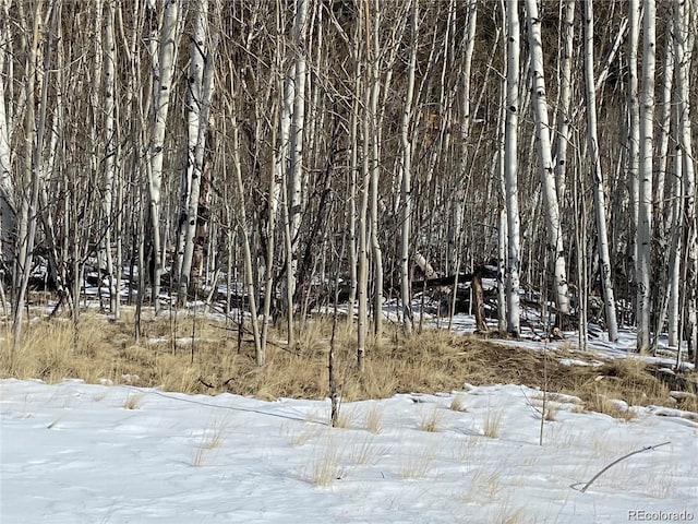 001 Bonus Gulch Way, Jefferson, CO 80456