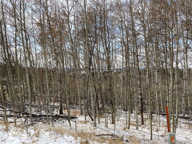 001 Bonus Gulch Way, Jefferson, CO 80456