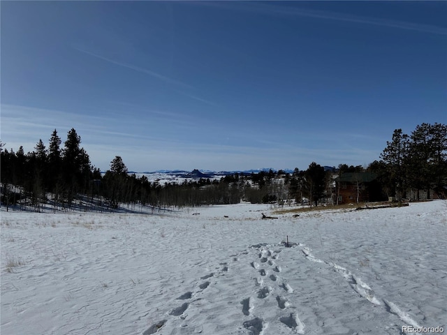 001 Bonus Gulch Way, Jefferson, CO 80456