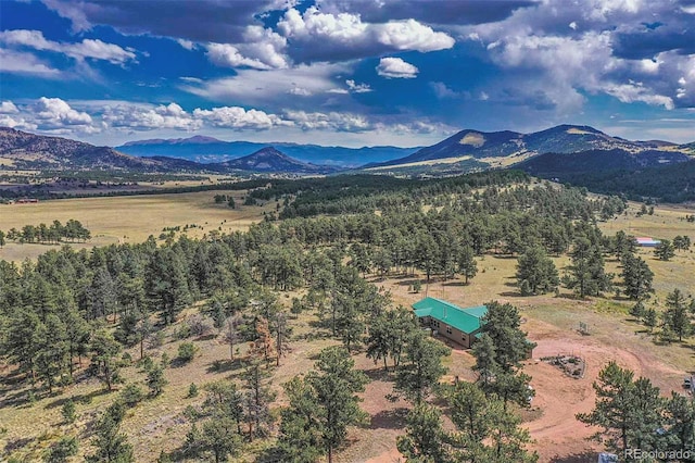 property view of mountains with a rural view