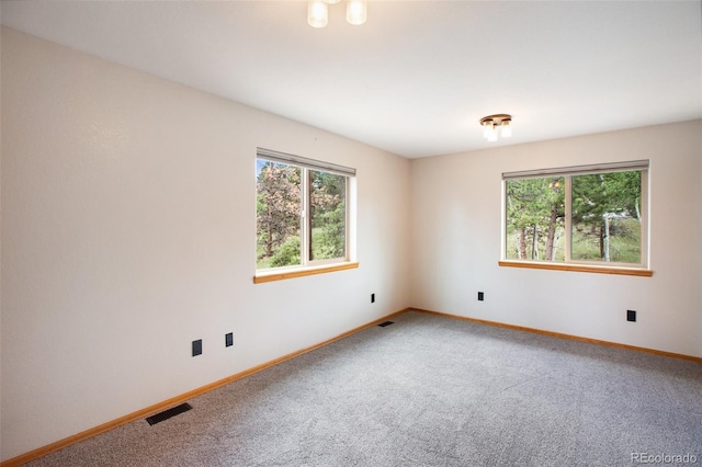 163 Big Horn Ln, Florissant, CO 80816 - photo 10