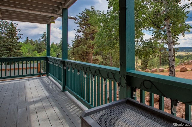 163 Big Horn Ln, Florissant, CO 80816 - photo 12