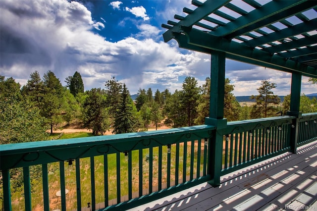 163 Big Horn Ln, Florissant, CO 80816 - photo 13