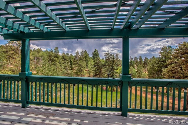 163 Big Horn Ln, Florissant, CO 80816 - photo 14